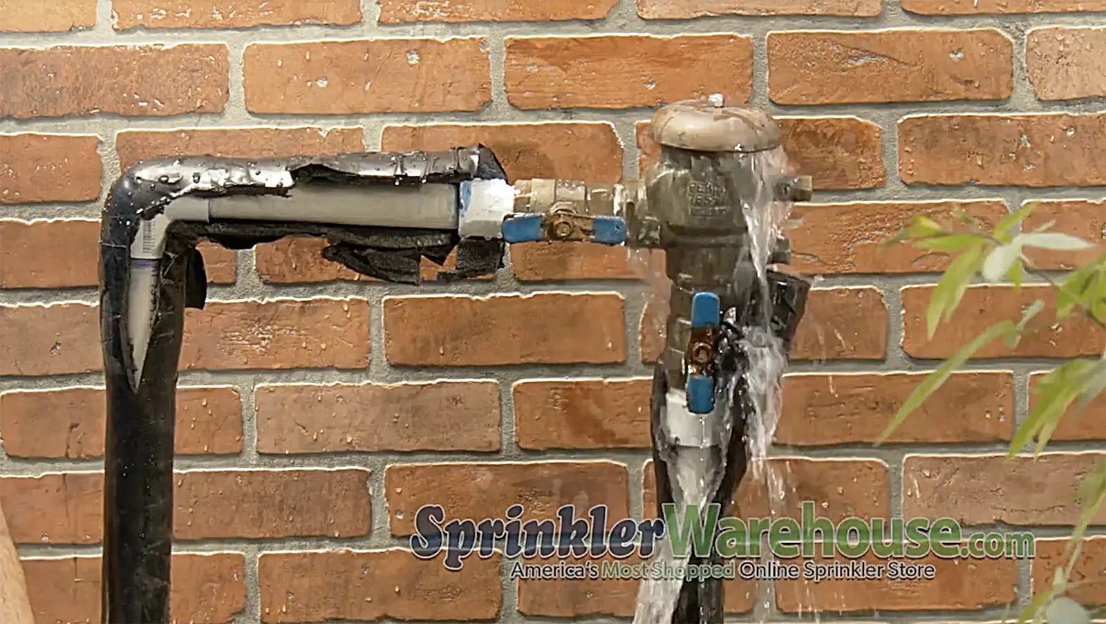 How to Winterize Rain Bird Sprinkler System: Easy Step-by-Step Guide